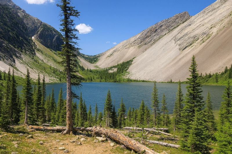 Lewis And Clark County, MT