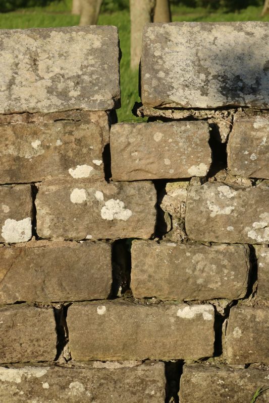 Rock Wall Repair in Helena, MT